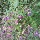 명지로 116번길 이미지