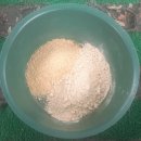 유동낚시터 이미지