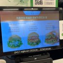 돈까스회관 김천부곡점 | [김천] 맛과 가성비, 두마리 토끼를 다 잡은 뜨돈 김천부곡점