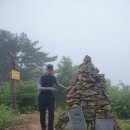 작성산 은석산 상봉산 구암산 충남천안[23.06.21] 이미지