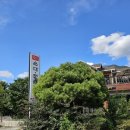 도천진짜순대 얼음골점 이미지