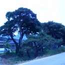 한국경마축산고등학교 이미지