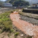장자천 티스토리