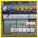 윌동물외상센터 이미지