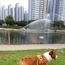 (주)신천정비 이미지