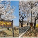 김영삼농장 이미지