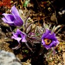 문산1리 이미지