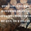 통나무집 공부하는 채널을 소개합니다^^ 이미지