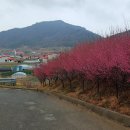 화가마을 이미지