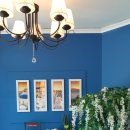 블루마리 이미지