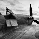 신갈마로-7 이미지