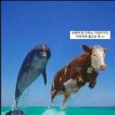 아뮤네일 - 세종특별자치시 나리1로 16 | 아뮤네일