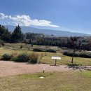 리케이온 이미지