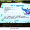 송지호 관망타워 이미지