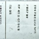 하수호마취통증의학과의원 네이버블로그