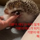 경남대학교한마관 | 육 식스 여섯 6