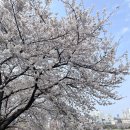 운천주유소 이미지