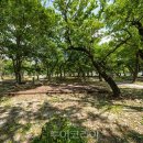 국민여가캠핑장 1 이미지