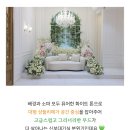 건대역예식장 투어 :: 스타시티아트홀 후기 (원픽 됐음...)