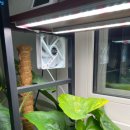 수경산업 | 수경재배기 환기 안 되면 꼭 보세요. 플랜터스·풀레뜨 쿨링팬 비교로 선택 팁