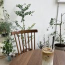 카페아르떼