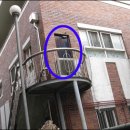 배꽃어린이집 이미지