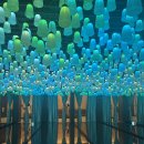 웹툰 당구장 | 남양주 스파디움24 후기, 찜질·북카페·사우나 한 번에 즐기는 이색 찜질방