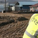 김판정농장 이미지