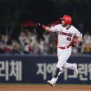 위즈덤비