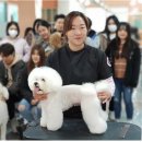 김지순애견미용학원 이미지