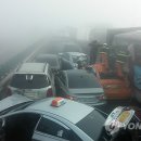 대교담배 이미지