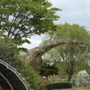 해남공룡박물관 이미지