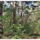 산일마을회관 이미지