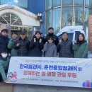 한국청과