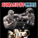 파라에스트라가경본관