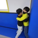 파라에스트라하복대