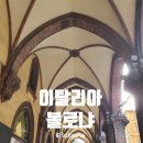 테르찌커피 | [이탈리아 소도시여행] 볼로냐 당일치기 볼거리 먹거리