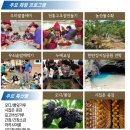 교동장독대마을 이뉴스투데이