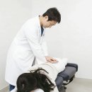 동탄튼튼한방병원 이미지