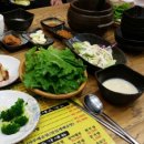 옹백이보쌈 Daum카페