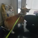 영마루공원 풋살장 이미지