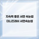 더니즈 래쉬 | 지속력 좋은 서면 속눈썹 더니즈래쉬 서면속눈썹
