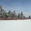 무주만나작은도서관 | 무주 어린이스키강습 비용 렌탈 후기