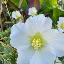 주식회사차림 이미지