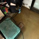 수원-0417 이미지