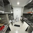 수동물병원 | 의왕 병원청소 업체 동물병원 마감청소 후기