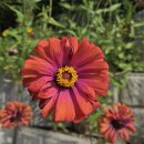 고성군 농기계임대사업소 서부권역 | 남파랑길 33코스 (임포항~하이면사무소)