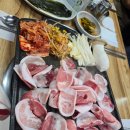 강바다꿀돼지고기먹고대박