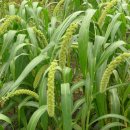 계절여행 이미지