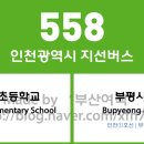 삼산타운1단지정문(40585) | 인천광역시 558번 버스 노선 정보